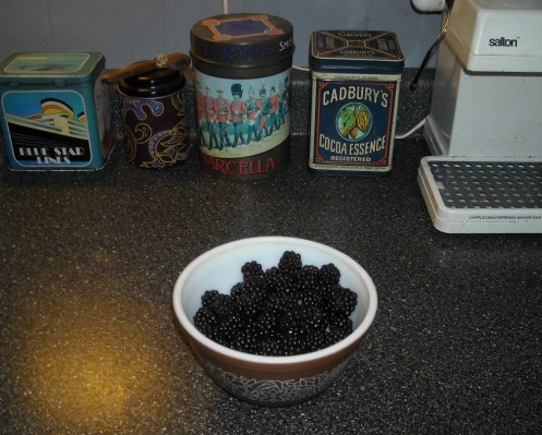 08-13 blackberries